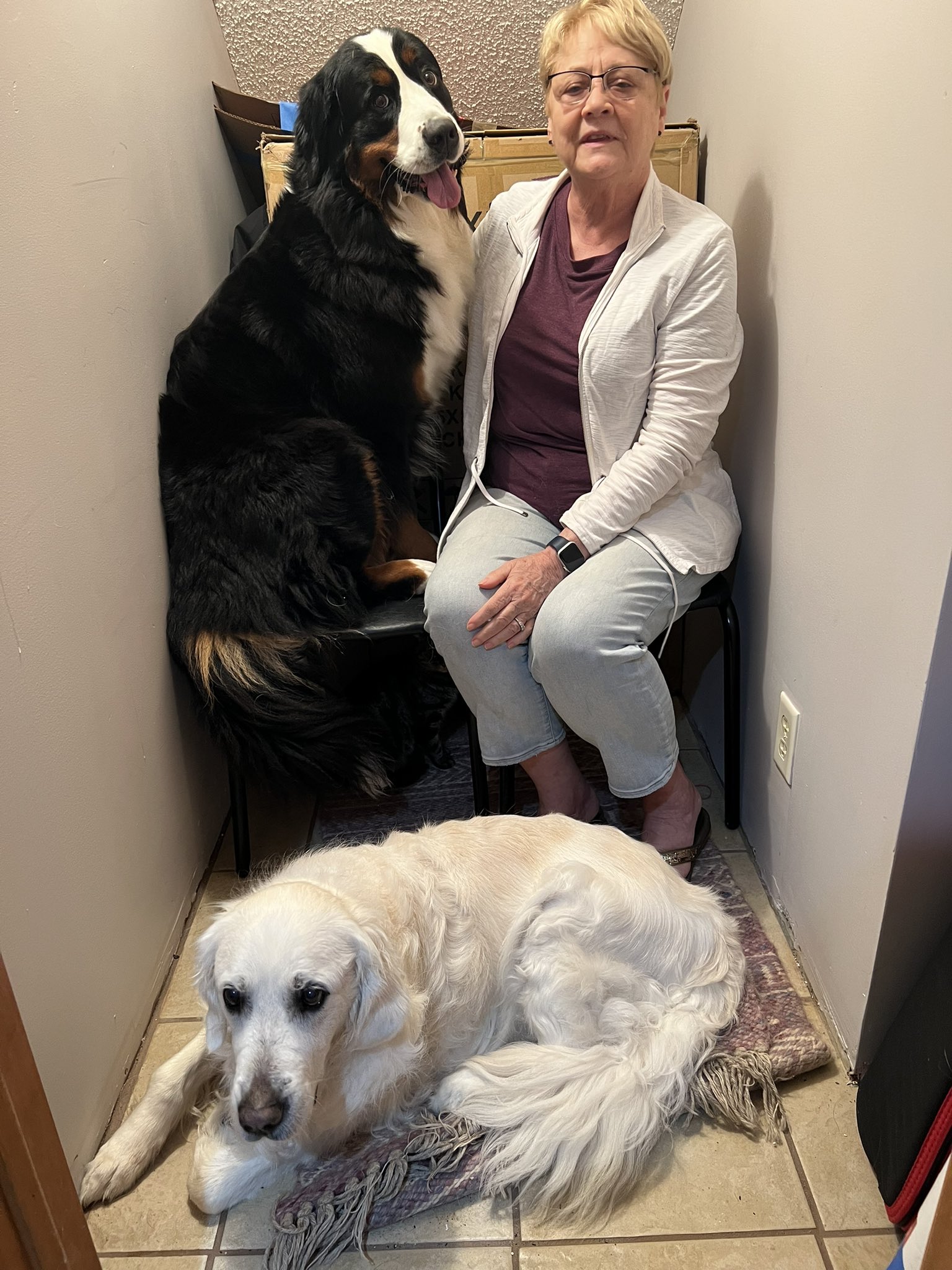 Kathy Zurcher💜🇺🇦 on Twitter "Tornado safety spot. Two large dogs, cat (hiding) and two humans