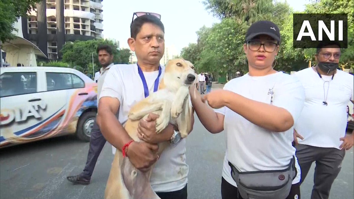 ANINewsUP's tweet photo. UP | A combined force of NGOs is working to rescue dogs at the last moment before the #SupertechTwinTowers demolition today

We have today saved almost 30-35 dogs, we're working on getting out each &amp; every one of them: NGO member https://t.co/fdm1Qt2wJi