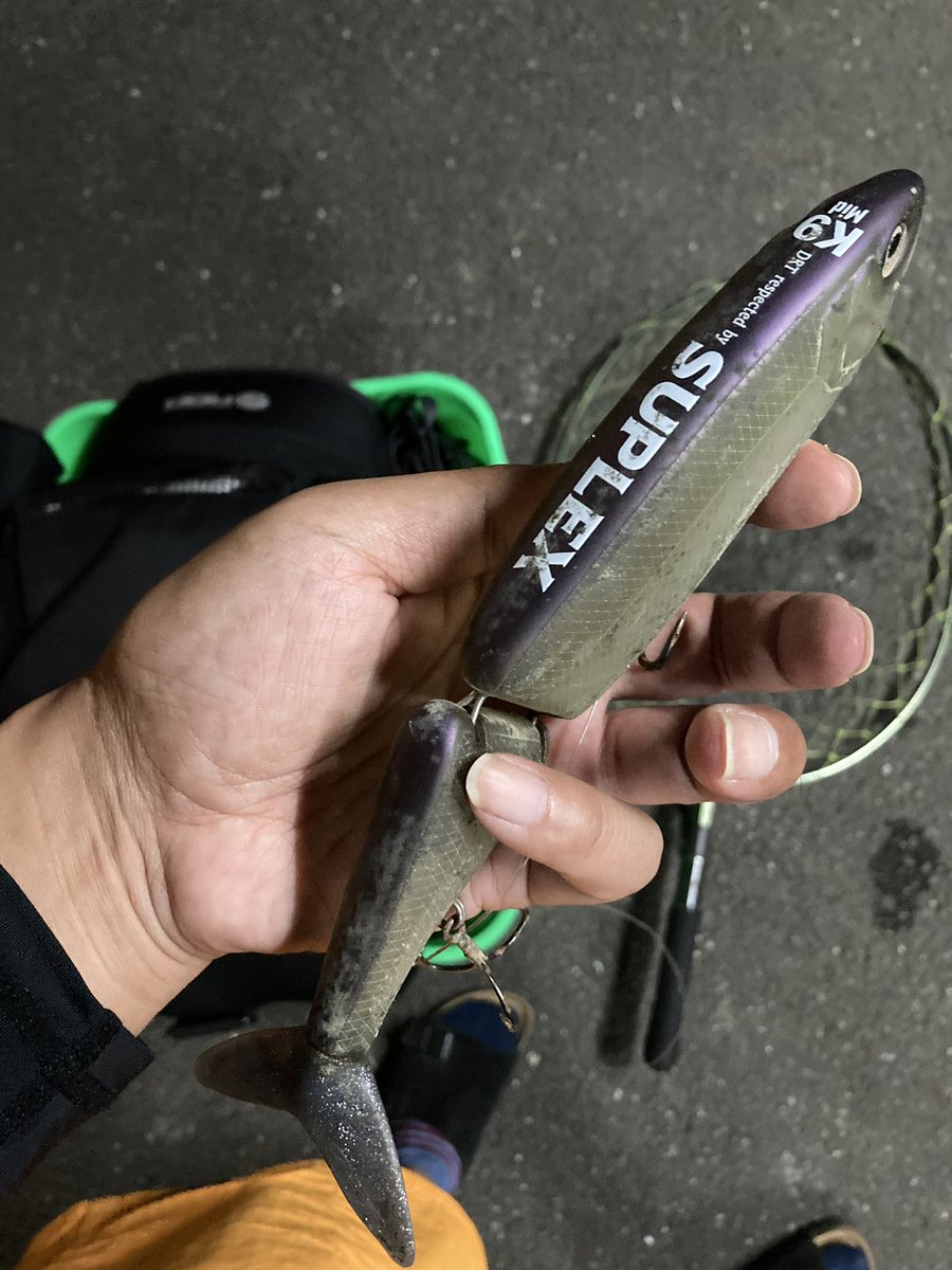 o_seabass's tweet photo. 新規ポイント開拓。
昨夜の釣果。
#KRASH9 https://t.co/zQ6LLqGub2
