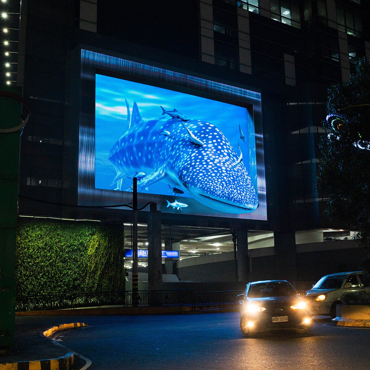 smmegamall's tweet photo. Whale, hello, I’m back and I brought my friends! 🐋🐠
#ExperienceAweSM and catch the #3DWhaleShark at the Time Sculpture from 7pm-10pm every 15 minutes daily. #OnlyAtMega
Stay tuned for the traveling #3DWhaleShark this coming September! 🌊🫧 https://t.co/MEvQeVEGqw