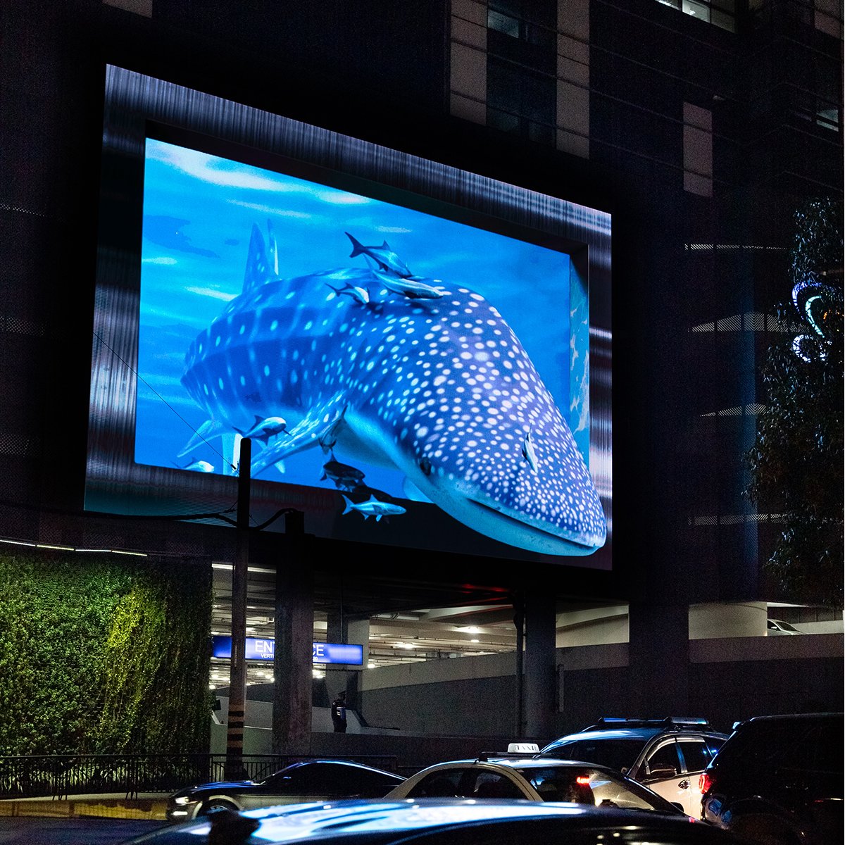 smmegamall's tweet photo. Whale, hello, I’m back and I brought my friends! 🐋🐠
#ExperienceAweSM and catch the #3DWhaleShark at the Time Sculpture from 7pm-10pm every 15 minutes daily. #OnlyAtMega
Stay tuned for the traveling #3DWhaleShark this coming September! 🌊🫧 https://t.co/MEvQeVEGqw