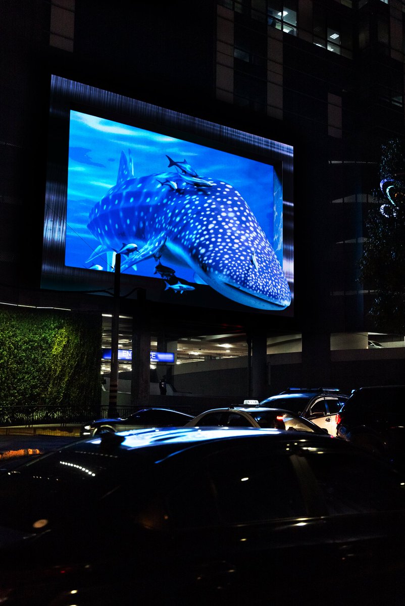 smmegamall's tweet photo. Whale, hello, I’m back and I brought my friends! 🐋🐠
#ExperienceAweSM and catch the #3DWhaleShark at the Time Sculpture from 7pm-10pm every 15 minutes daily. #OnlyAtMega
Stay tuned for the traveling #3DWhaleShark this coming September! 🌊🫧 https://t.co/MEvQeVEGqw