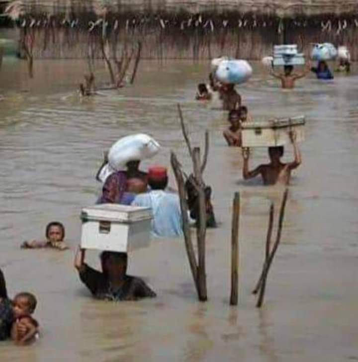 aich_for_hamid's tweet photo. کشتیاں ٹوٹ گئی ہیں ساری
اب لیے پھرتا ہے دریا ہم کو...💔

#PakistanFloods #FloodsInPakistan https://t.co/dQZHwZrYFj