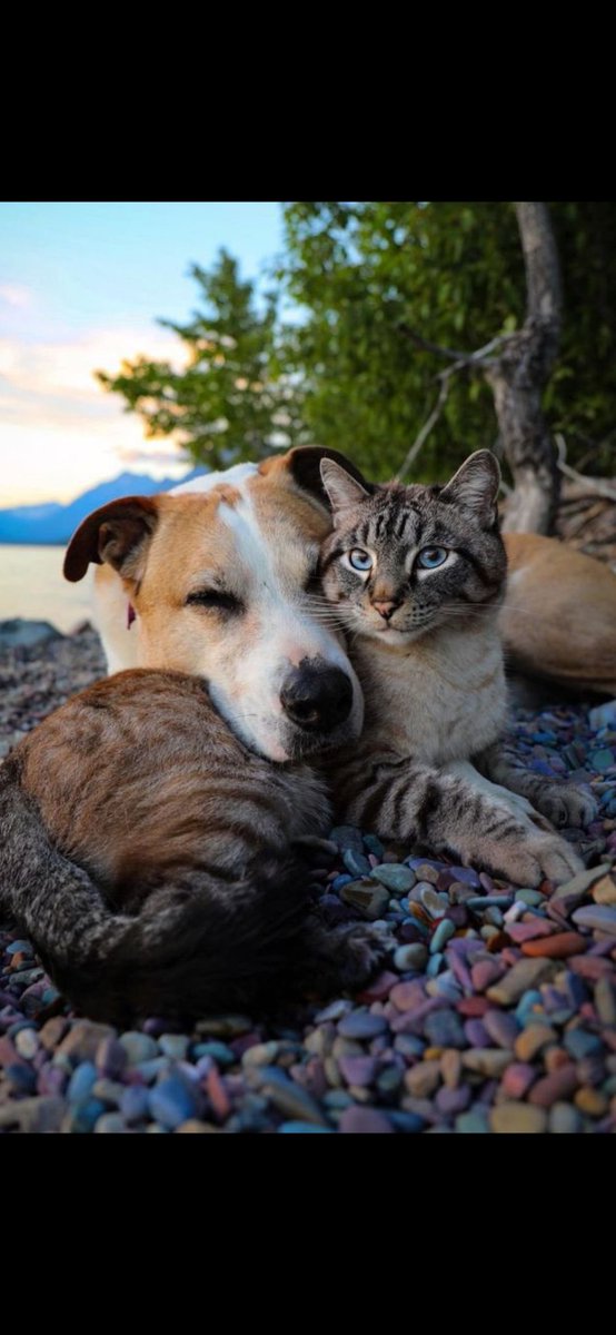 **Sevin ki her şey olur.**
       Edip Cansever
Günaydın ☕🌸☀️☀️