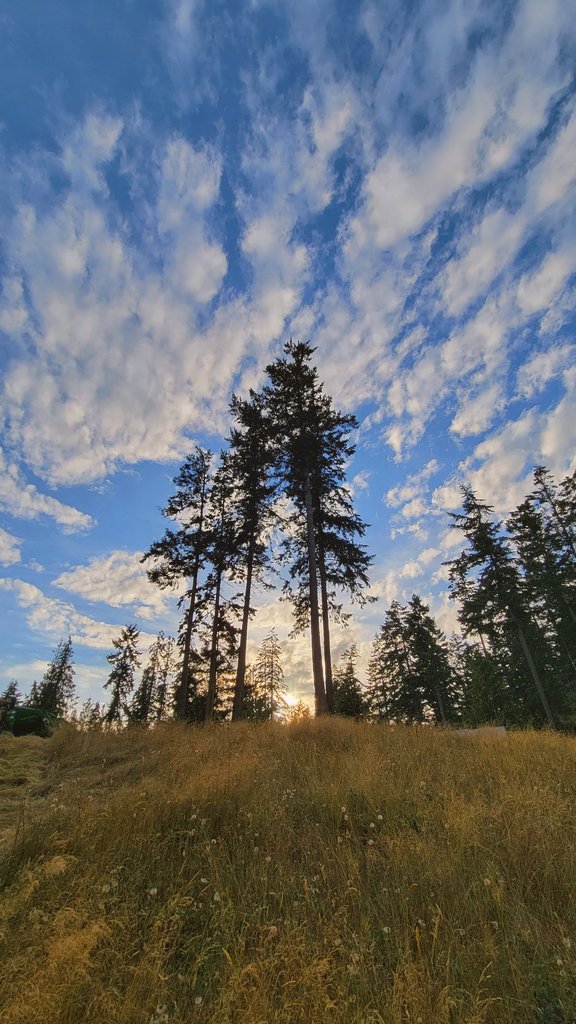 drtyrunner's tweet photo. Home 

#upperleftcorner #pnw #talltreesandhappythings https://t.co/iHEsDr0nWP