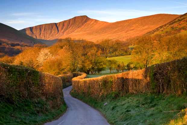 HoganSOG's tweet photo. Nice country lane at sunrise. Brecon Beacons National Park, Wales. by Unknown. https://t.co/ECE3y6it39