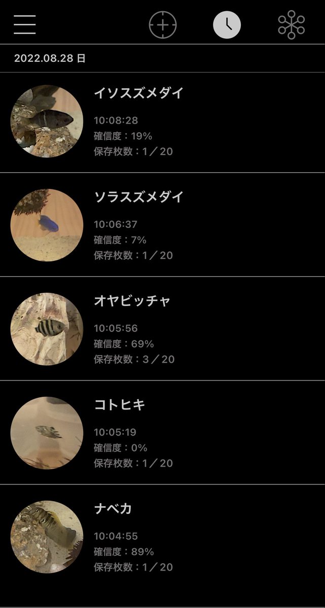 TurtleToushi's tweet photo. LINNÉ LENSっていう面白いアプリ見つけた❗️
出会った生物をAIで判定して記録できる。
自分だけの図鑑作れるような感じでどこまで埋められるか！？

#linnelens https://t.co/zo9deKa7db