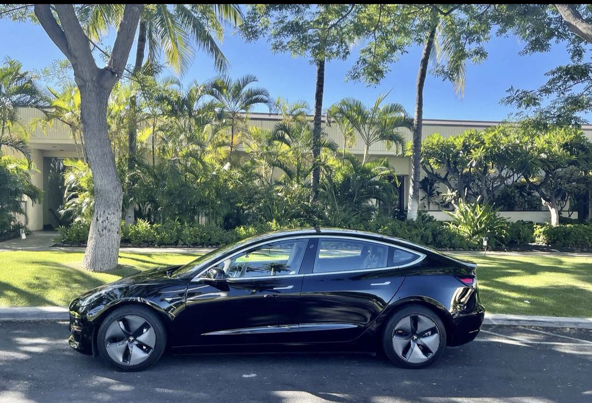 تويتر \ Frugal Tesla Guy (guy_frugal@)
