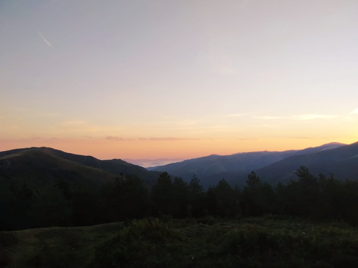 <a href="/ORNITOLAN/">ORNITOLAN</a> Nuevo amanecer en el estudio de la migración postnupcial en Lindus. Grandísimo día ayer con 4.124 Pernis apivorus monitorizados.  Resultados:trektellen.nl/count/view/213…