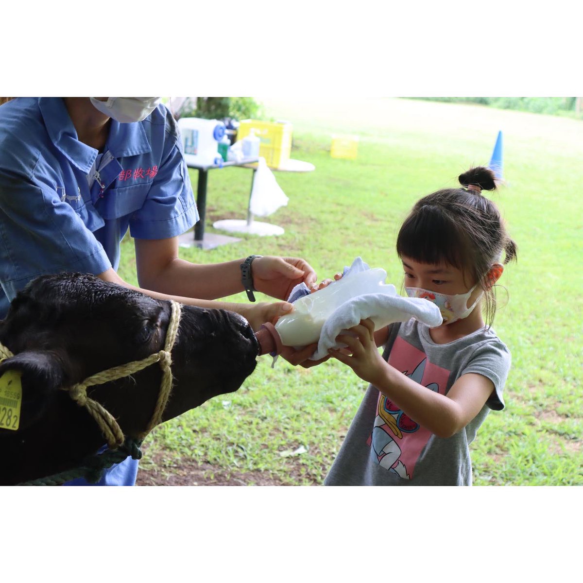 Hattori_Farm's tweet photo. 牧場のおしごと体験9月の予約受付を開始いたしました！

9月は土日祝限定開催となります！

おとなもこどもも楽しく学べる内容となっております！
ぜひご家族みなさんでご参加ください🐮✨

ご予約はこちら↓↓↓
https://t.co/RWw9toYvyT

#神奈川県 #愛川町 #服部牧場 #牧場 #牧場のおしごと体験 https://t.co/mZgVhXP0Pc