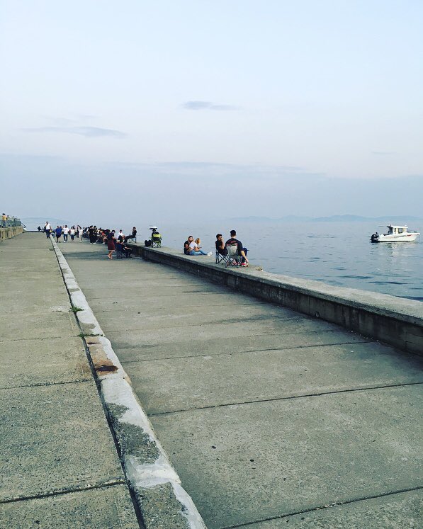 DON VITO COINLEONE tweet media