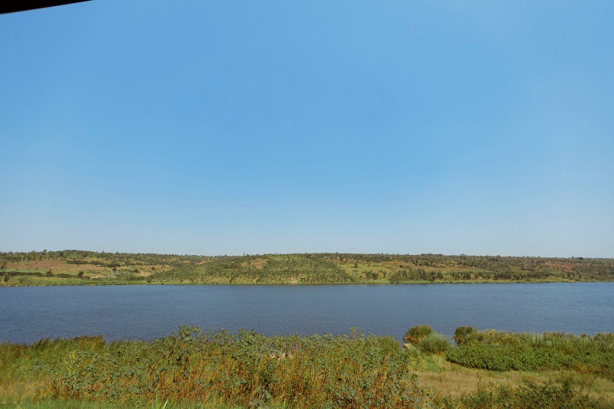 Isabelle T2 (@isatitou) on Twitter photo Umva, I just checked out pictures of <a href="/UmvaMuhazi/">UMVA Muhazi</a> and goodness, must be on everyone 'to-stay' list 😍
#VisitRwanda Umva, I just checked out pictures of <a href="/UmvaMuhazi/">UMVA Muhazi</a> and goodness, must be on everyone 'to-stay' list 😍
#VisitRwanda