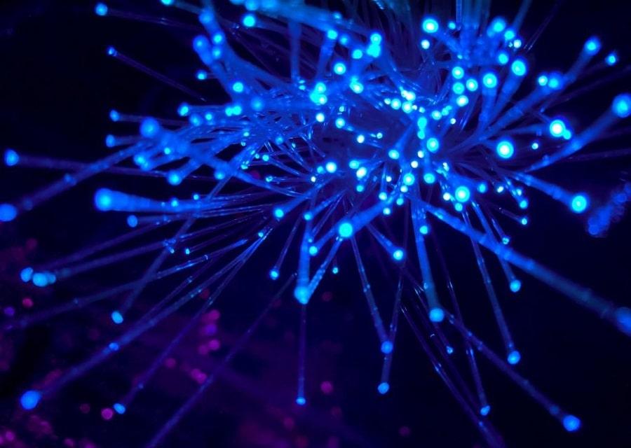 informpalace's tweet photo. The region of the electromagnetic spectrum that the human eye perceives as light, or visible light, is made up of electromagnetic radiation. Typically, visible light is characterized as having wavelengths between 400 and 700 nanometers (nm),

https://t.co/17AE3oLvs2 https://t.co/pbDfh8SzaY