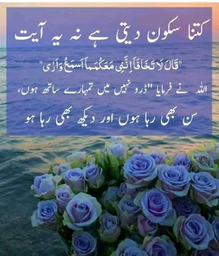 mr04_rahim's tweet photo. beshak✨
#Islam 
#tariqjameel 
#spreadislam https://t.co/wmXsoHZtj3