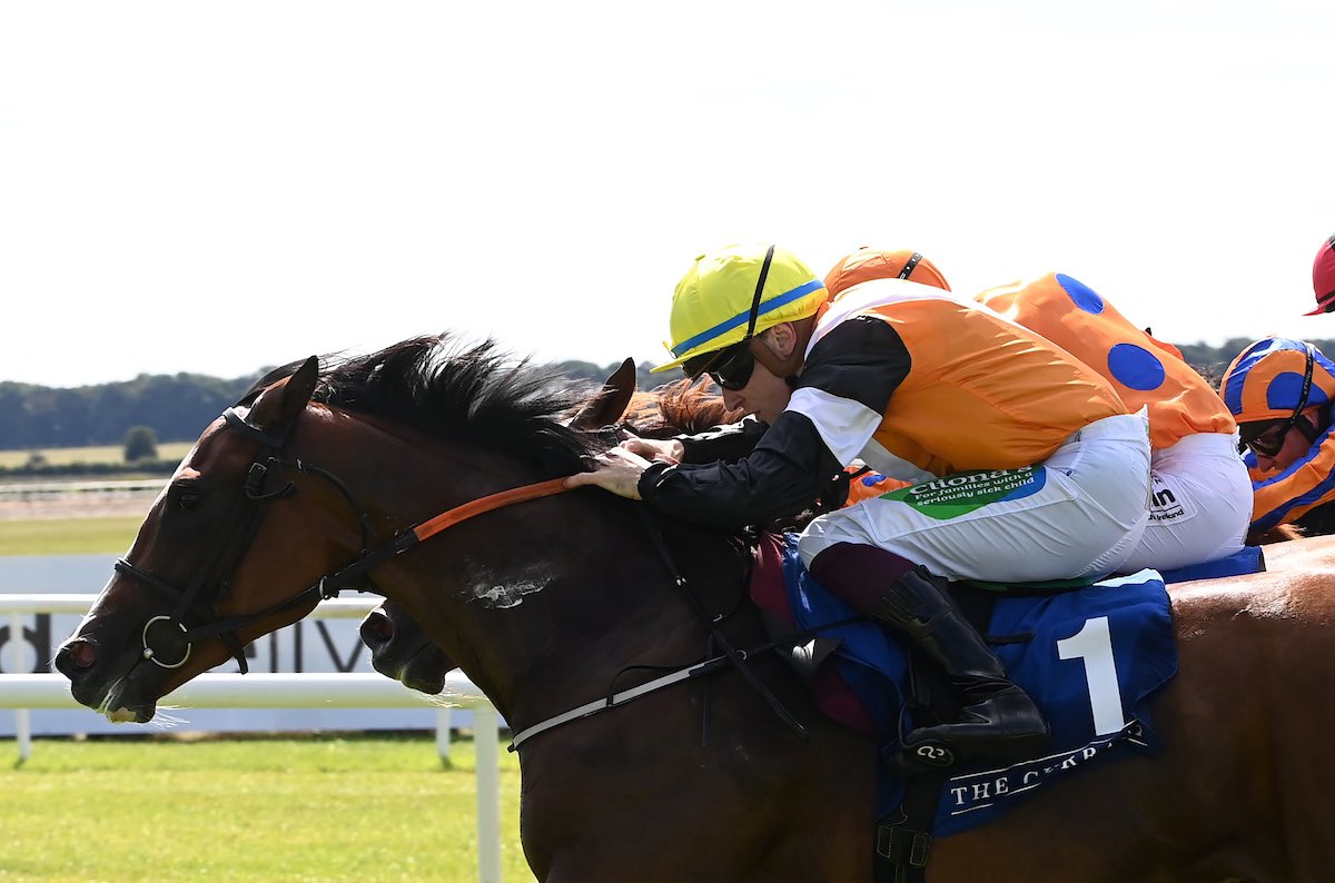 Stack_Racing's tweet image. Aspen Grove wins Group 3 at the Curragh… bit.ly/3pOt7IT #StackRacing