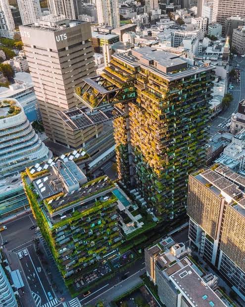DrHimanshuOrtho's tweet photo. Instead of destroying #SupertechTwinTowers , it's better to convert them into #VerticalGarden .
It will not only save money but will also improve air quality in DELHI NCR.
#TwinTowers
#TwinTowerDemolition 
#MannKiBaat
#ClimateScam 
#ClimateCrisis 
#nature 
@PMOIndia
@narendramodi https://t.co/DWihn5rjbr