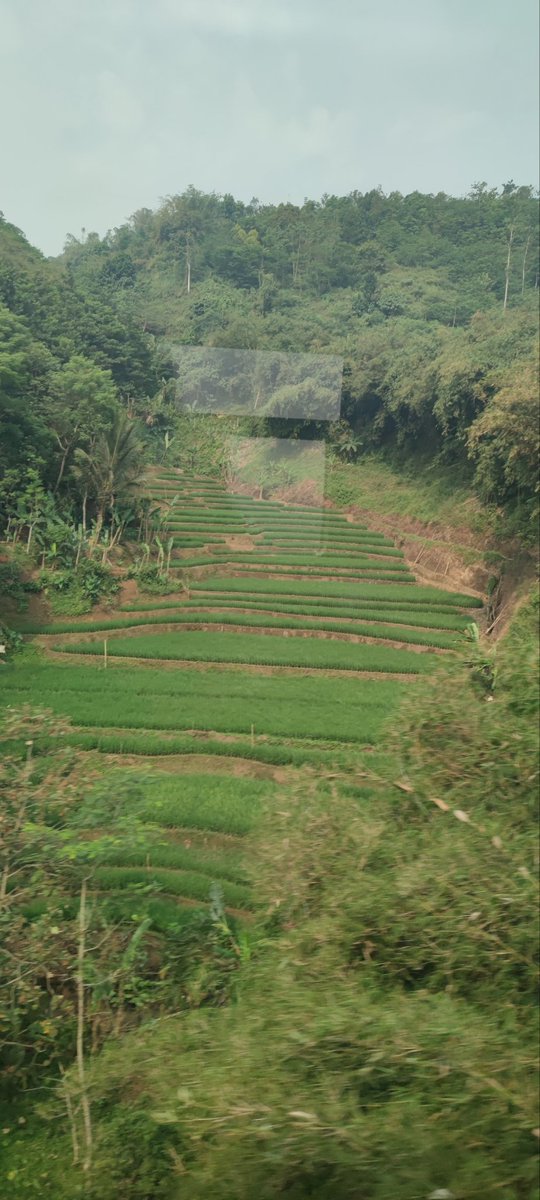 Anne Chasny Djajasasmita tweet media