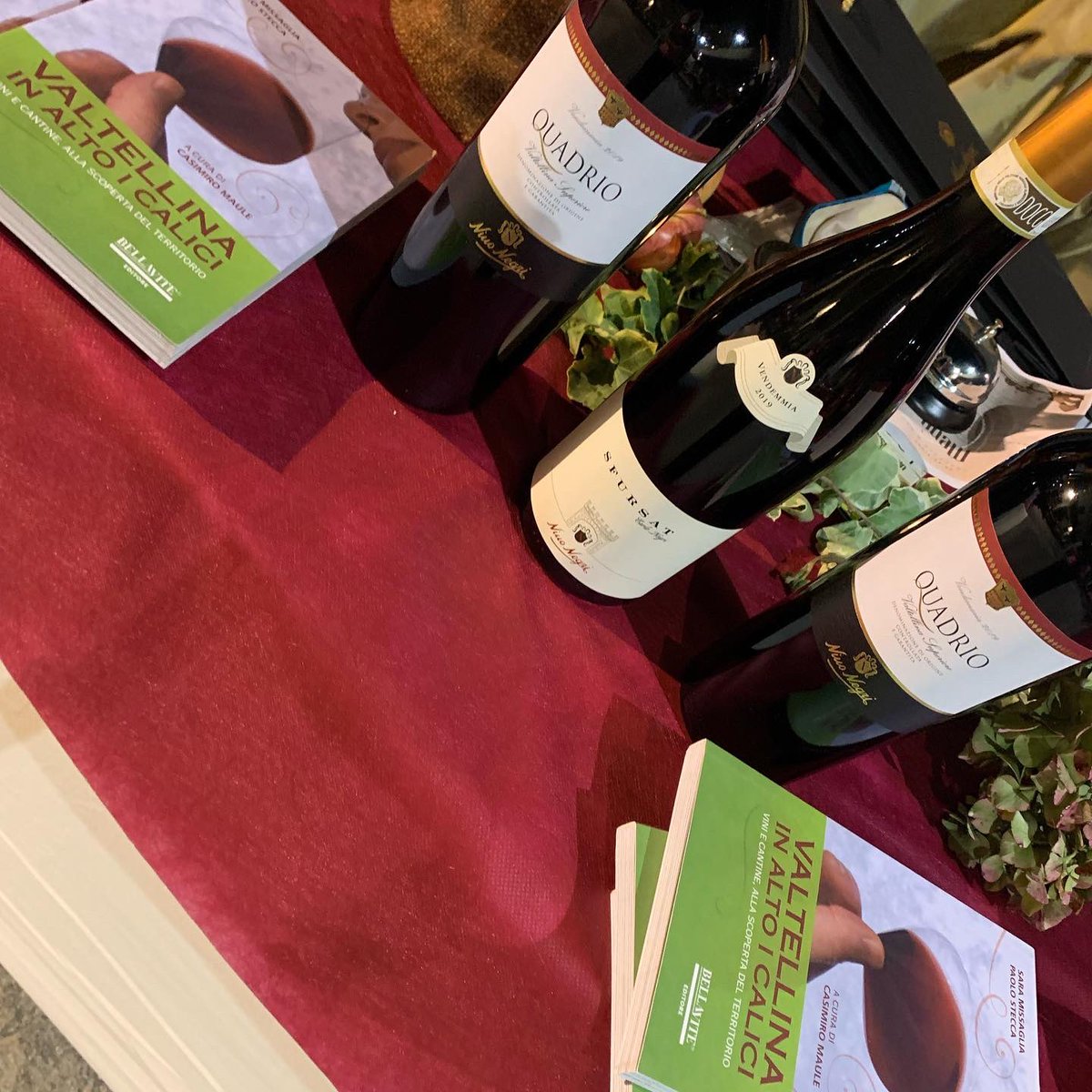 Sara Missaglia tweet media