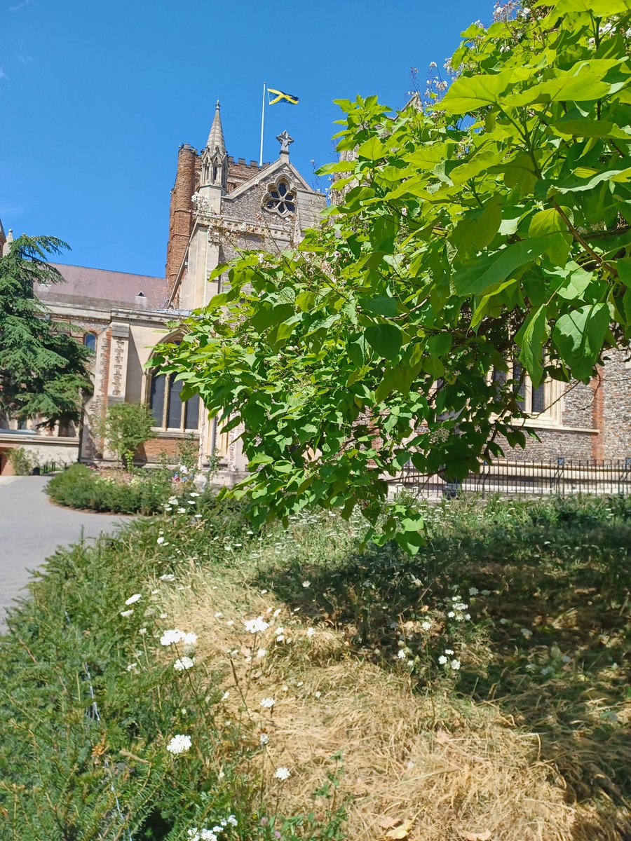 St Albans Cathedral Parish Music tweet media