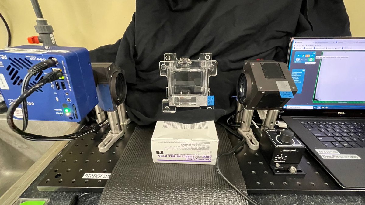 BioinspirLab's tweet image. A few highlights from our #telecentric imaging system onboard @MBARI_News #RVWesternFlyer as part of the #DOIGExpedition2022 that is currently underway 👇