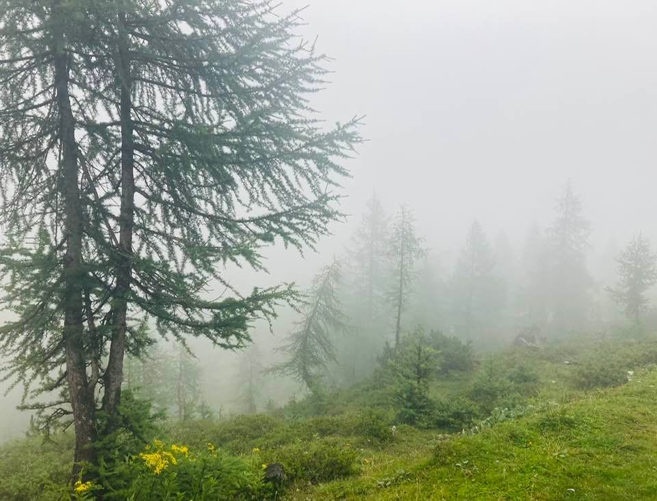 christian cummins tweet media