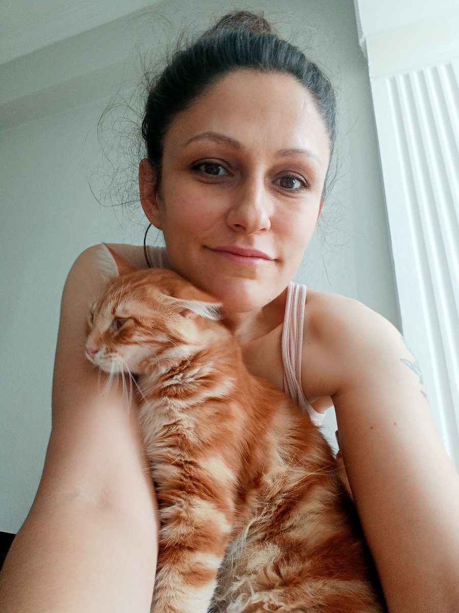 pino_naz's tweet photo. Oglen eve geldim yemek icin donerken bu sari kizla karsilastim  ilk defa mama verdim ama kör oldugunu anlamadim is cikisi beni ayni yerde bekliyor o zaman anladim kör roldugunu acaba benim onu sokakta birakmicagimi anladi🥰❤️ https://t.co/GMOnWfNaPW