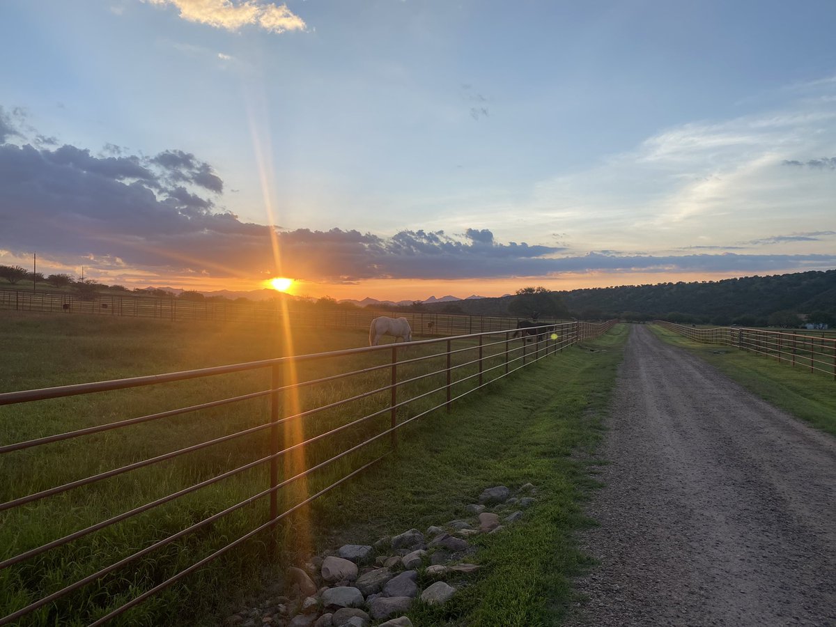 Mark Reidy tweet media