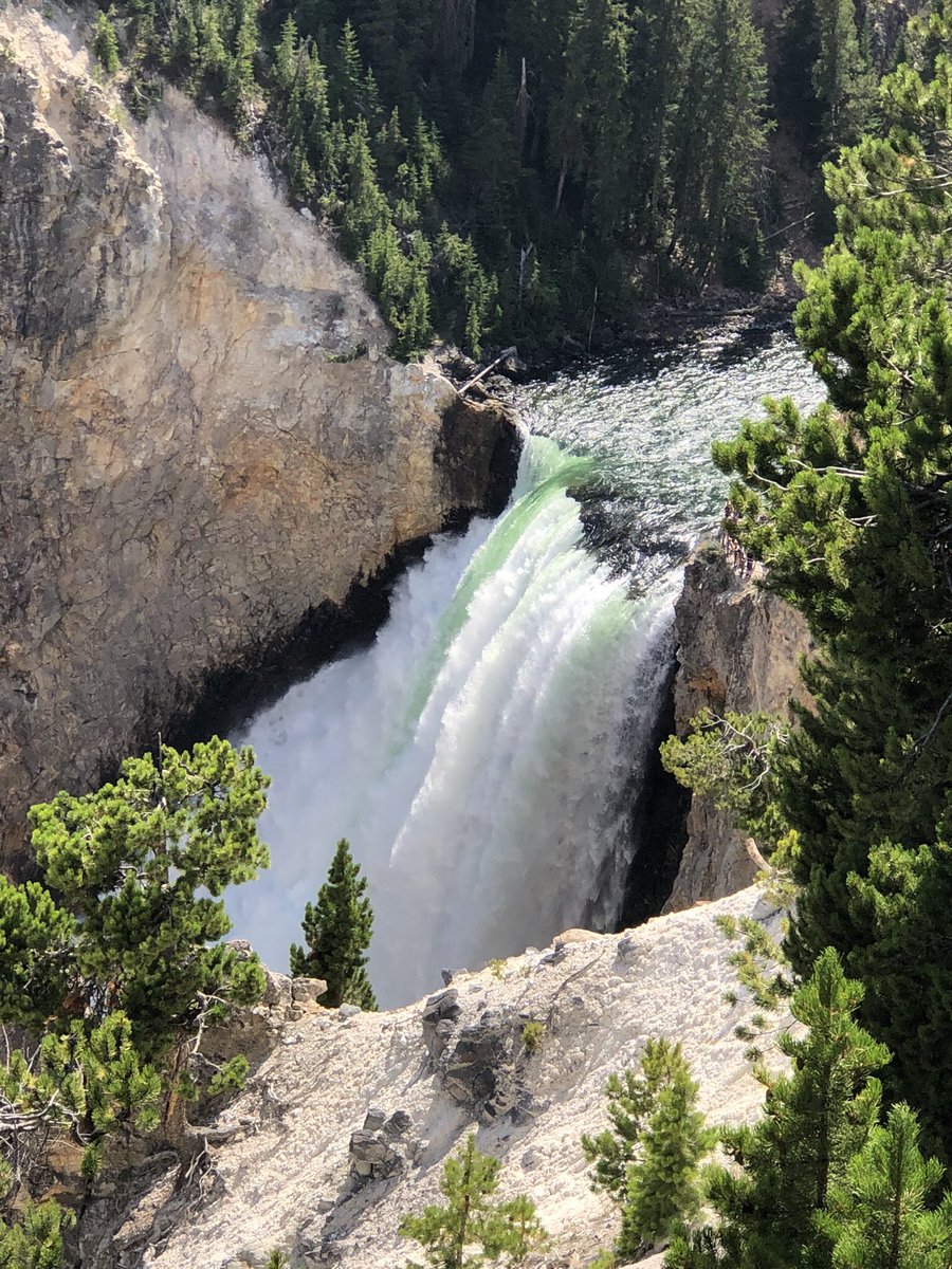 camperdave_'s tweet photo. I’m bad at keeping up with Twitter, sorry 😞 I have new posts and updates on Mondays and Wednesday’s on Facebook and Instagram! Link in bio #Campingworld #OptOutside #yellowstonenationalpark #hikingadventures #TwitterNatureCommunity https://t.co/2QjxWKTQvw