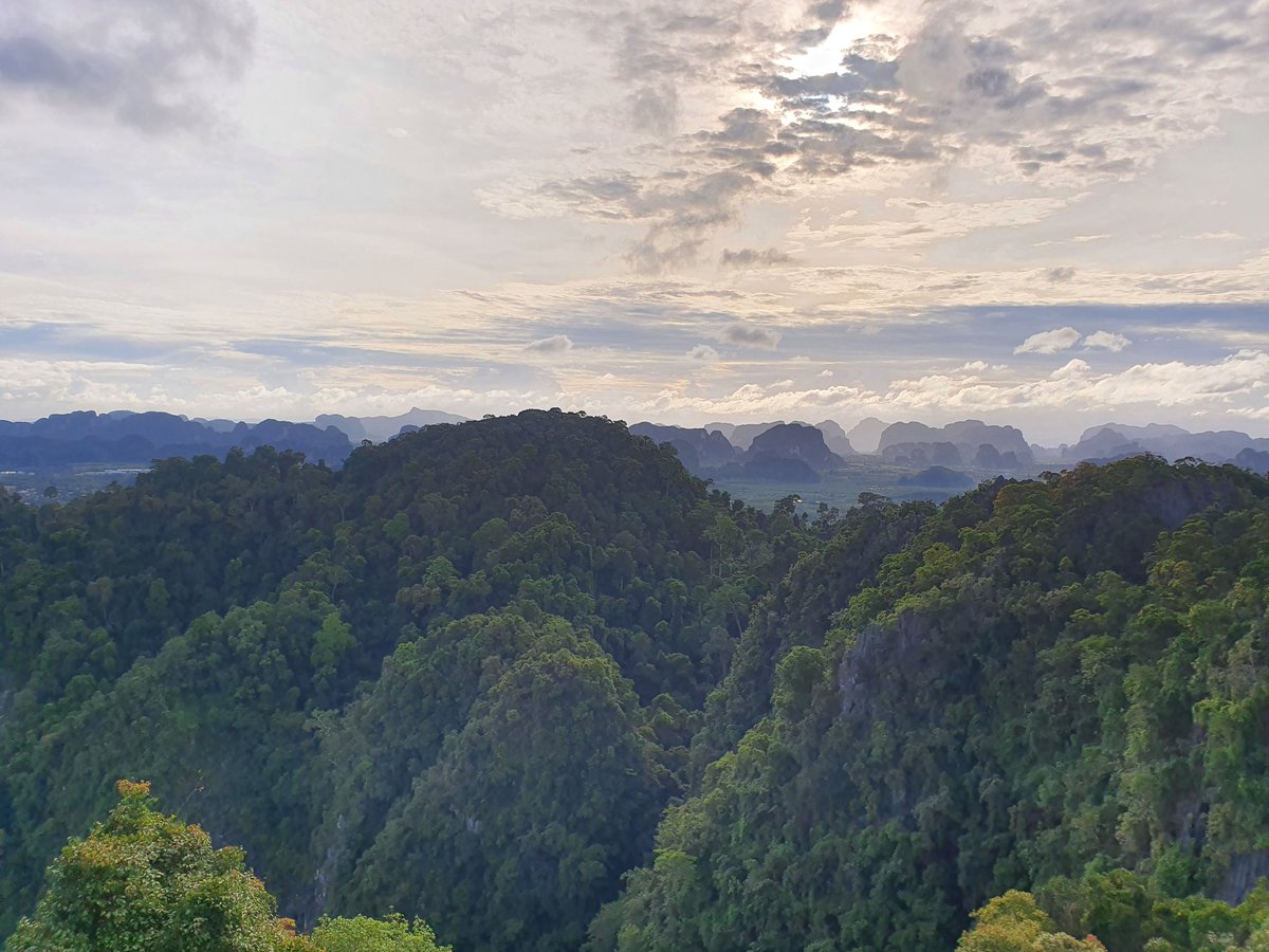 4urFortune's tweet photo. Going on top of a mountain to visit a temple yesterday with chat, look at this view π it was a hard walk up but worth it
#Vtuber #Vlogathon https://t.co/IOXEbSkkvN