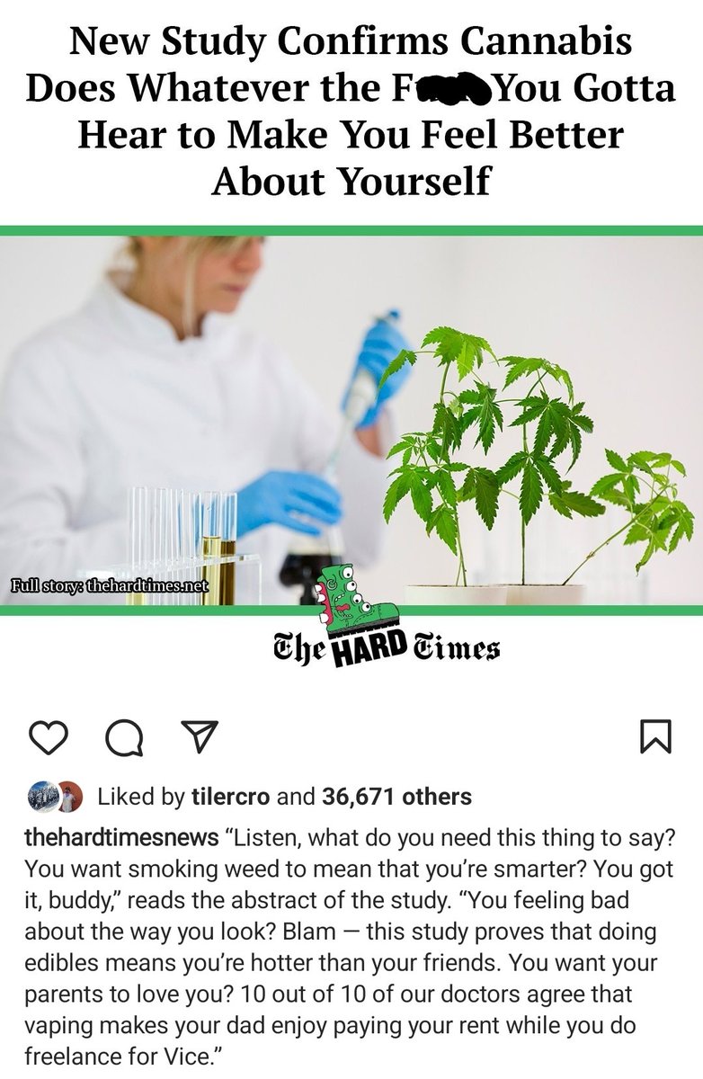 ThunderFerret's tweet photo. #lol #newStudies #weed #HardTimes 😆 https://t.co/cJp7DUxW53