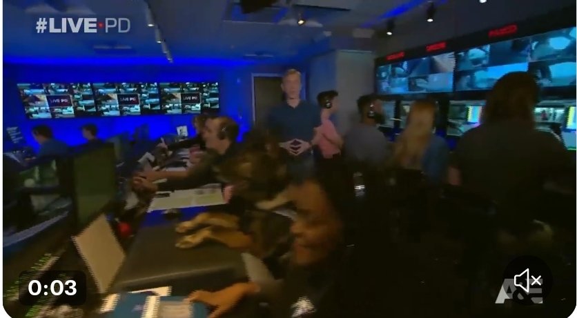 BackOurBlue's tweet photo. @JamesCraigmyle In Honor & Memory of #K9Lor I will be donating 15% of my salary for the remainder of the year to @ppak9org #RIPLor. Here's Lor sitting down in @danabrams opening of @OfficialLivePD a couple of years ago.
#OnPatrolLive #OPLive #BackTheBlue #K9LivesMatter https://t.co/Xnl2ZgRxyM