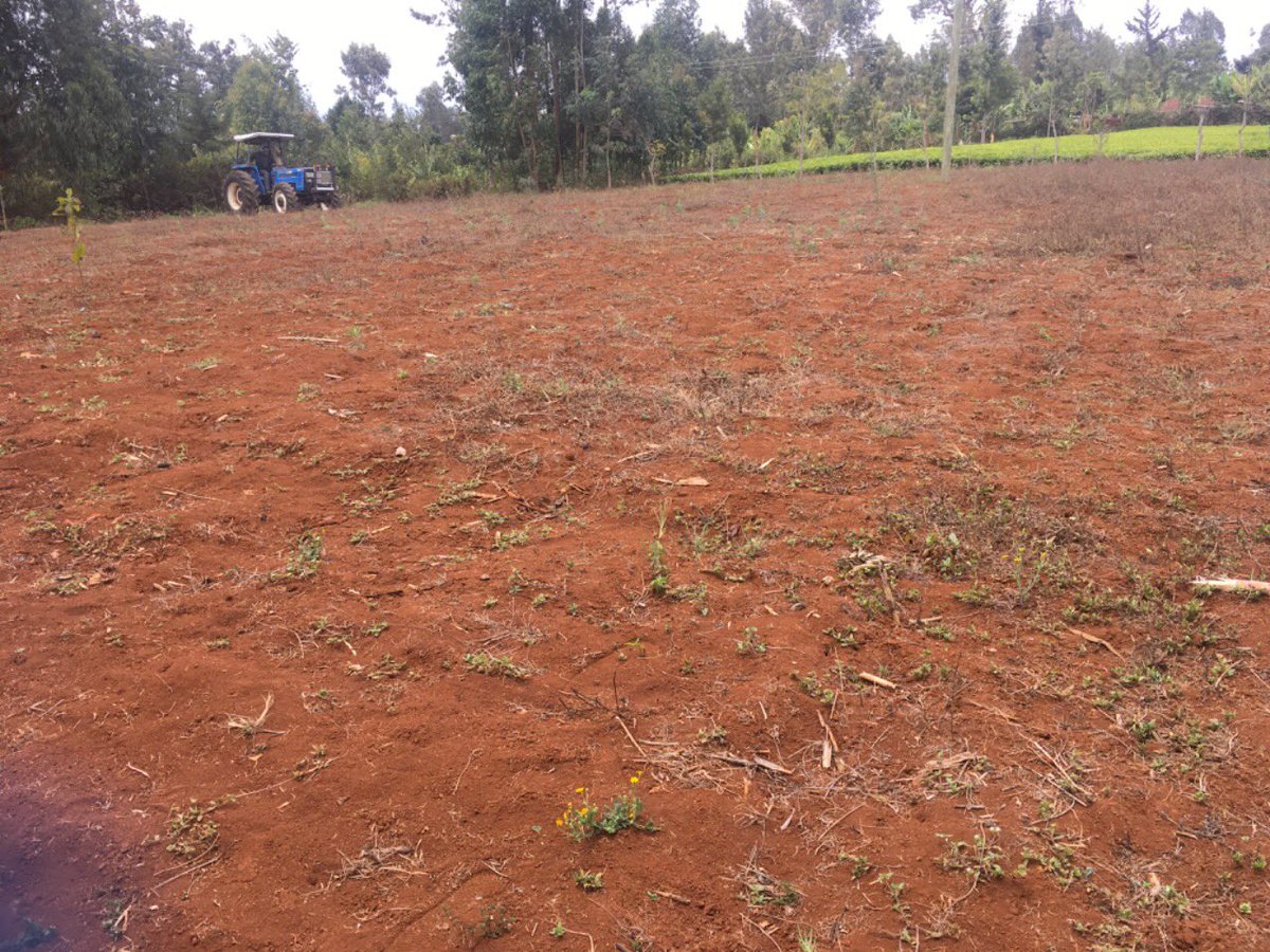 BayEnterprice's tweet photo. We farm because we love what farmers do. With the recent high rate of urbanization I decided to go back and produce food to my People and here I am . It’s now the beginning of Large scale farming. https://t.co/LJ0RIy6WJi