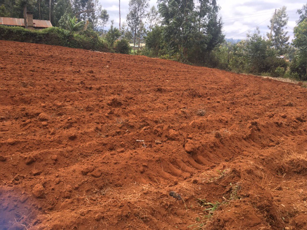BayEnterprice's tweet photo. We farm because we love what farmers do. With the recent high rate of urbanization I decided to go back and produce food to my People and here I am . It’s now the beginning of Large scale farming. https://t.co/LJ0RIy6WJi