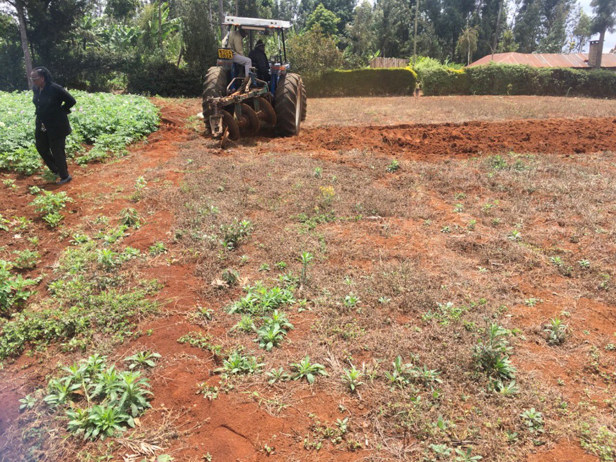BayEnterprice's tweet photo. We farm because we love what farmers do. With the recent high rate of urbanization I decided to go back and produce food to my People and here I am . It’s now the beginning of Large scale farming. https://t.co/LJ0RIy6WJi