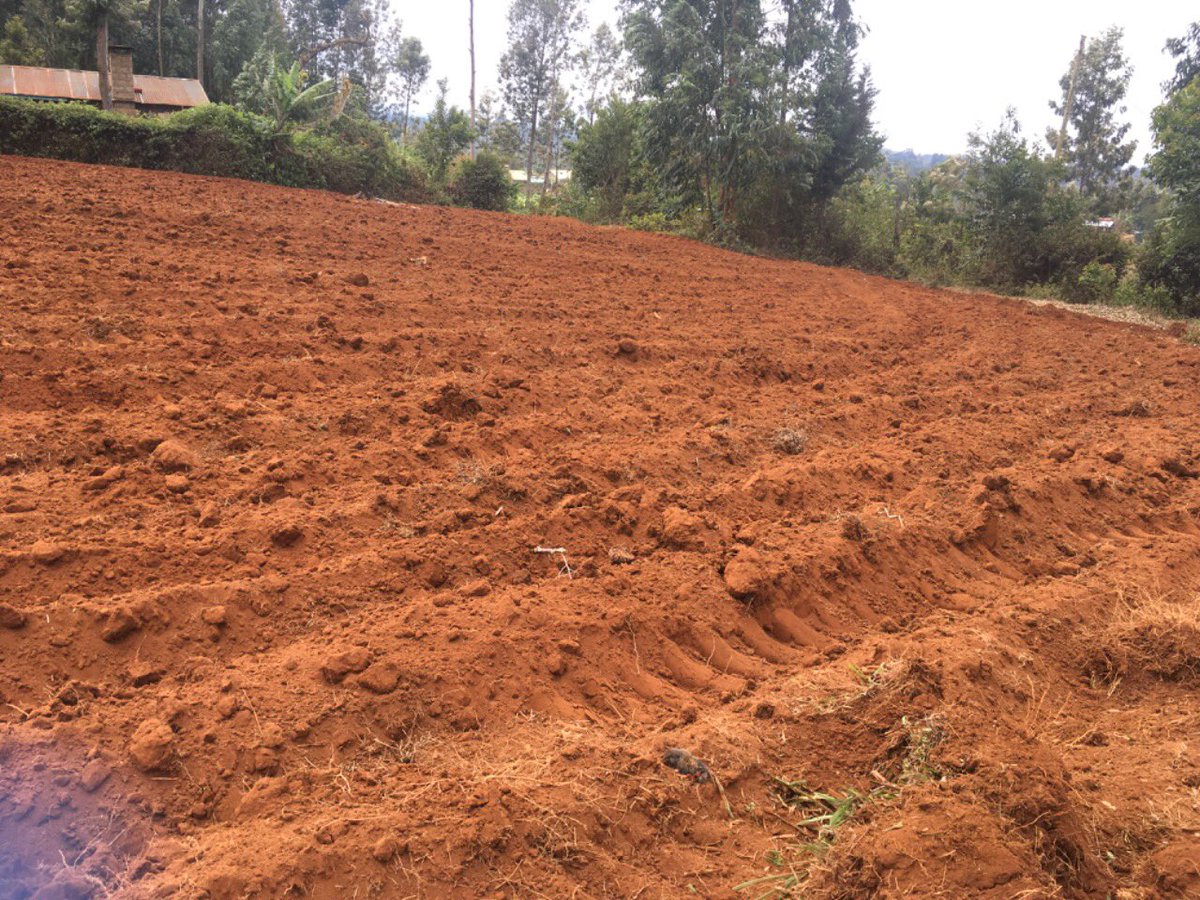 BayEnterprice's tweet photo. We farm because we love what farmers do. With the recent high rate of urbanization I decided to go back and produce food to my People and here I am . It’s now the beginning of Large scale farming. https://t.co/LJ0RIy6WJi