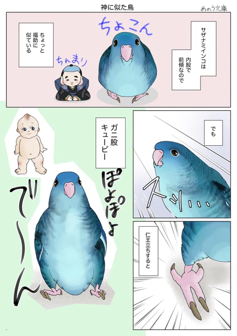 15日にまた遅刻のサザナミインコまんが。神といっても色々居るけど、縁起の良い神様とラブリーな小悪魔の神に似ていたとは。サザナミは今日も愛らしい。
#サザナミインコ 
#キキさん漫画 