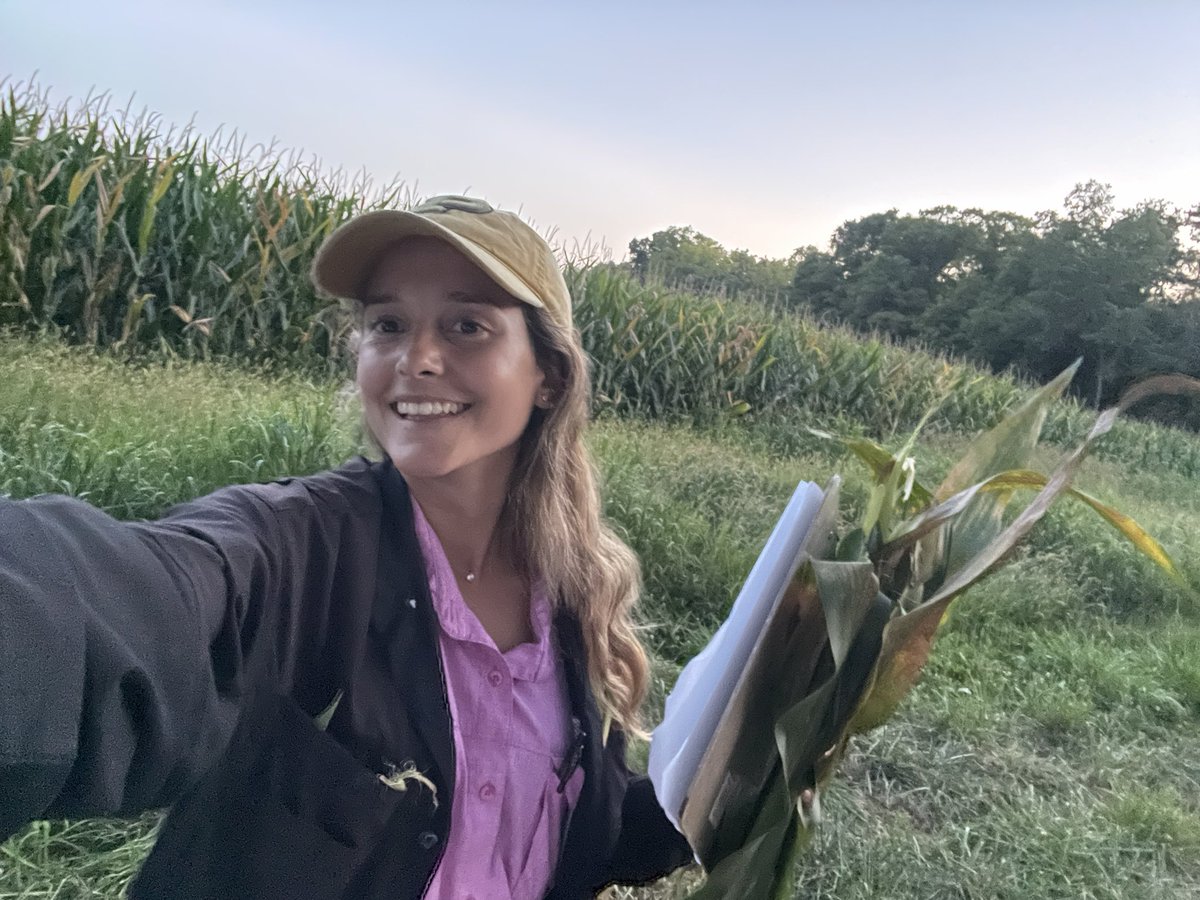 Malena Bartaburu (@m_bartaburu) on Twitter photo Saturday of Scouting!
Diseases are something I need to learn much more, but thanks to <a href="/WaibelKaitlin/">Kaitlin Waibel</a> advices, I could find some cool staff.
The importance of collaborating between labs 🤜🏻🤛🏻 Saturday of Scouting!
Diseases are something I need to learn much more, but thanks to <a href="/WaibelKaitlin/">Kaitlin Waibel</a> advices, I could find some cool staff.
The importance of collaborating between labs 🤜🏻🤛🏻