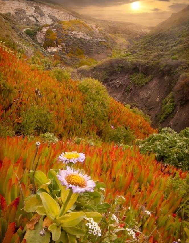 ياربّ إجعلني أتجاوز هذه الأيام. ♥️