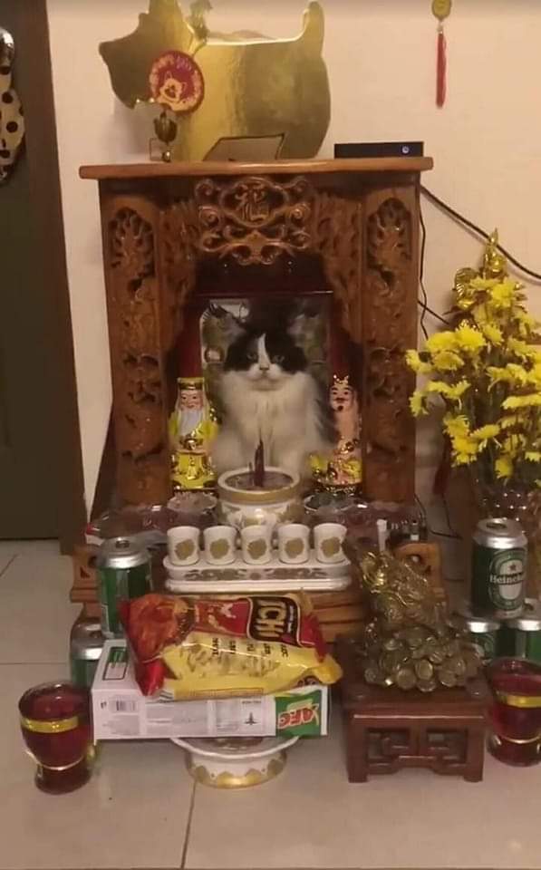 TheerahJ's tweet photo. นานๆครั้ง  ท่านจะปรากฏให้เห็น  🤣🤣🤣🤣🤣 https://t.co/T4S5lMn8Og