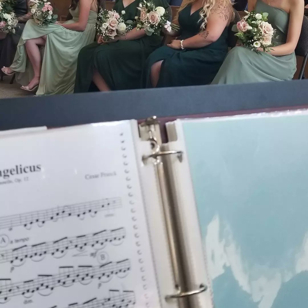 LimestoneTrio's tweet photo. A gorgeous day for a wedding! 🌞 We were so happy to be a part of it. 🎻🎶 Congratulations Alex and Emily! 🎉 https://t.co/z2Lgu5sQ0c