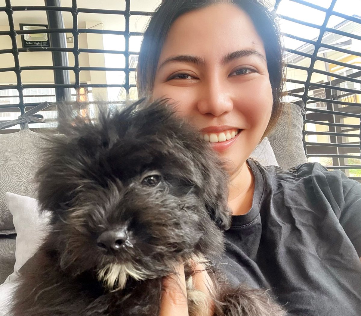 iamgoddes's tweet photo. Meet Rocksy, the #pomapoo. Thank you, @thethinkingpinoy! ❤️❤️❤️ https://t.co/ChhAvqpka0