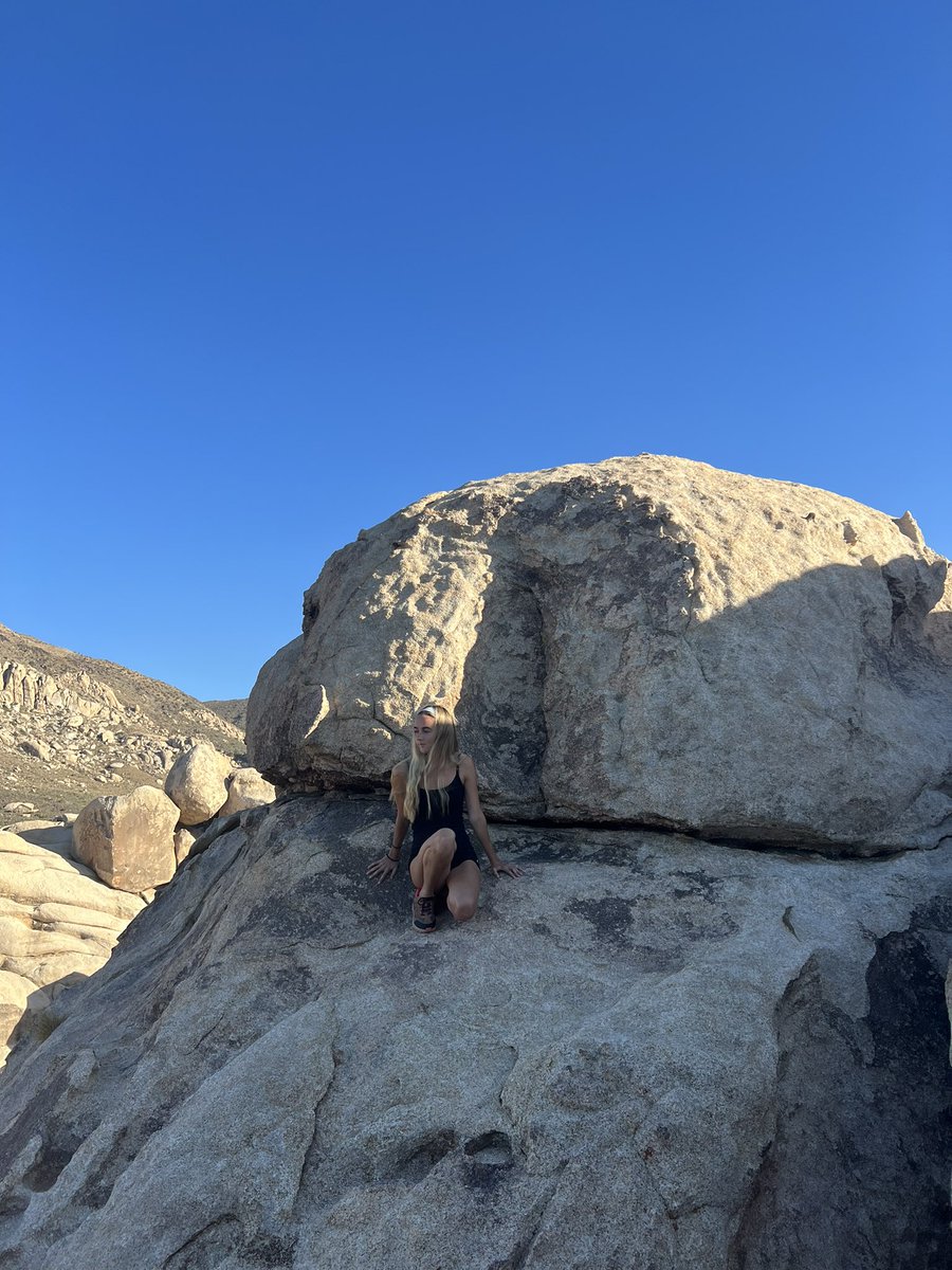 Chance_Pena's tweet photo. rock rats in Joshua tree https://t.co/4jiUHzPzcq