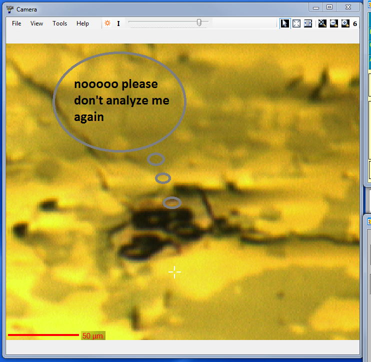 Beth Ann Bell tweet media