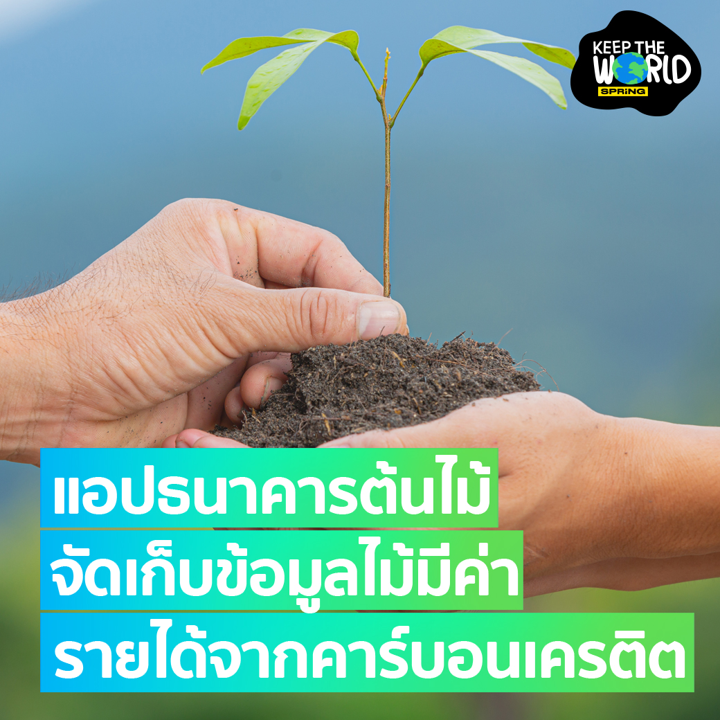 SPRiNGNEWS_TH's tweet photo. แอป Tree Bank โดย ธ.ก.ส. เพิ่มมูลค่าหลักประกัน-รายได้จากคาร์บอนเครดิตชุมชน
https://t.co/1PIANj5Xub
#SPRiNG #SPRiNGNEWS #คาร์บอนเครดิต #ธกส #TreeBank #ธนาคารต้นไม้ https://t.co/N5tAIb8NTT