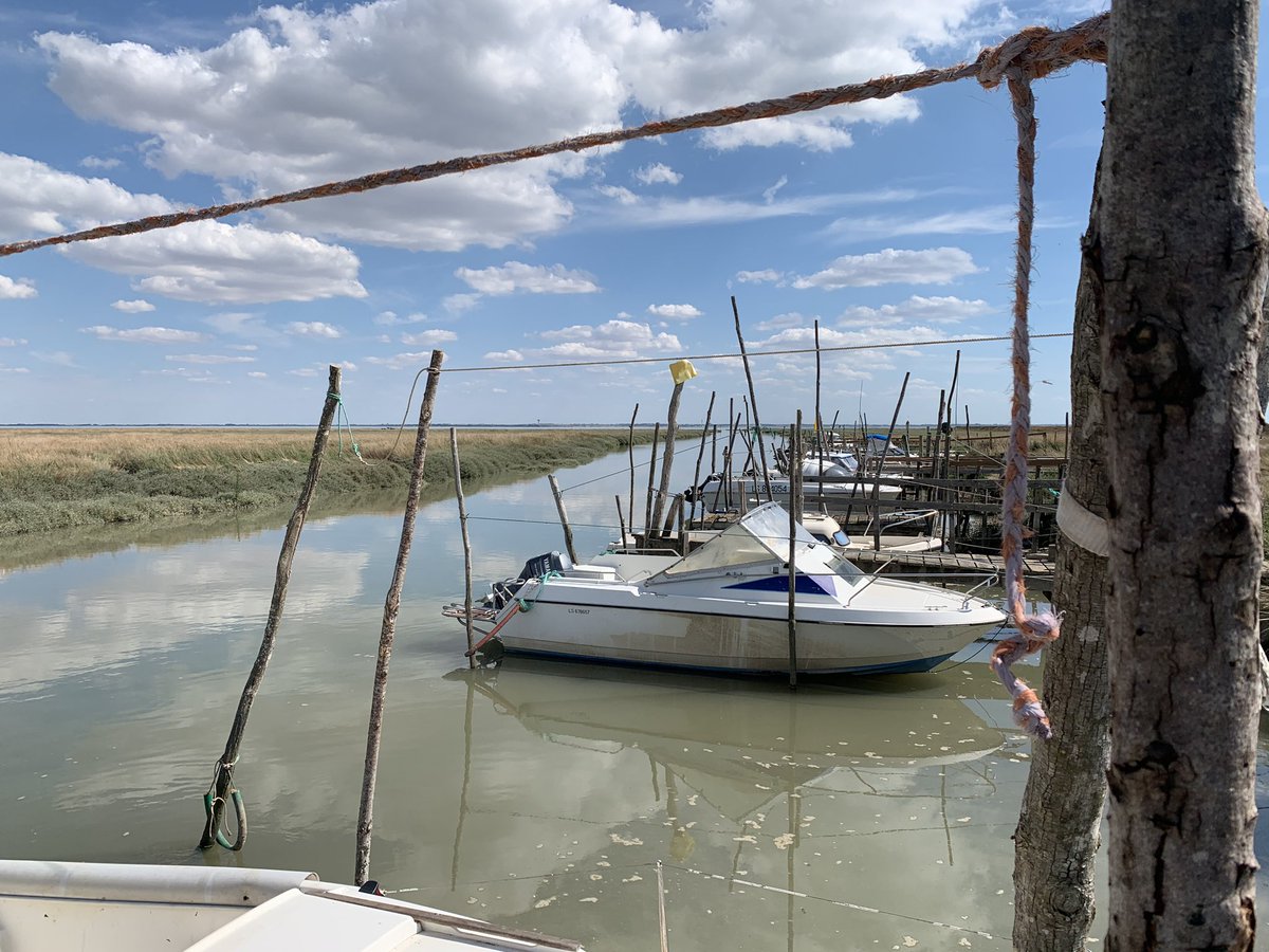 acharpentier85's tweet photo. 🚤 Tres belle fête du Port sur St Michel en l'Herm. Un moment convivial et festif. Bravo à M Gaudin et à son bureau pour la gestion du Port du Chenal Vieux. Merci pour la sortie en mer dans la baie de l’Aiguillon. Toujours un réel plaisir 😊. @pmaraispoitevin 🚤 https://t.co/TKm2ENvXz3