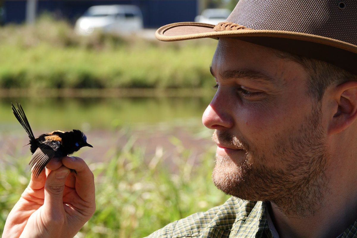 Jordan Boersma tweet media