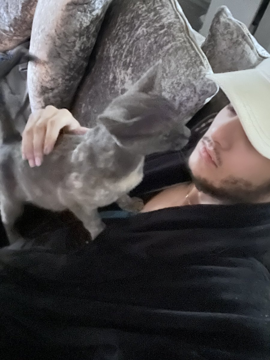 lightskinsos's tweet photo. All Animals love me 🤷‍♂️ https://t.co/eoGL5R4LZo