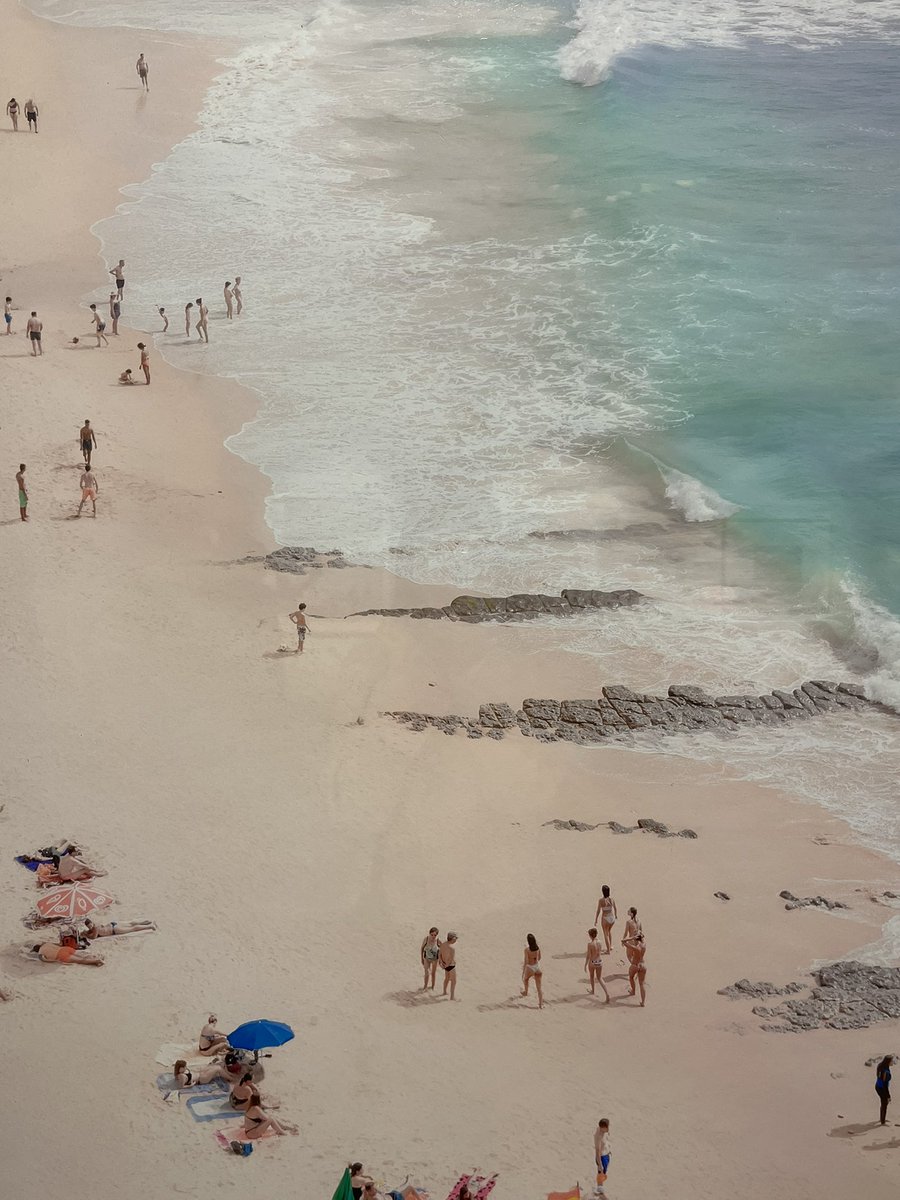 다들 즐거운 주말 보내세요오🏖🌊🐬🐚