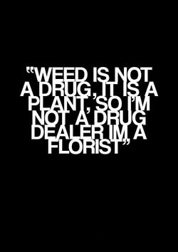 letsgetstoned00's tweet photo. Be a florist😁🤟 https://t.co/KjXwlmLDh3