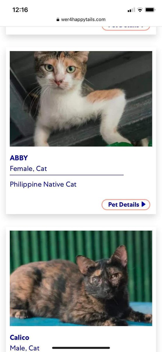 woncrossdiary's tweet photo. hi baka want niyo mag adopt ng cats or other pets 🥹 my cousin sent me this kasi we both love cats but unfortunately idk pa if pwede na ulit akong mag adopt ng pets :((  

sharing this here kasi baka gusto niyo ! help rt na rin >__< https://t.co/gMwJjA0Hp5